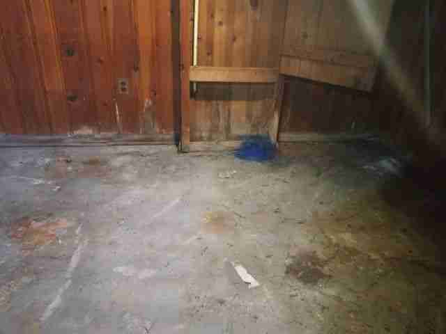 Testing again(49).jpg